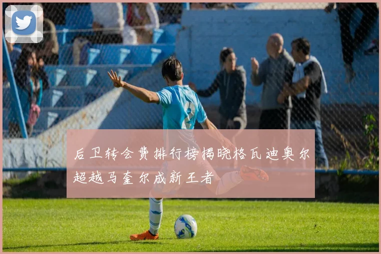 后卫转会费排行榜揭晓格瓦迪奥尔超越马奎尔成新王者