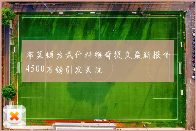 布莱顿为武什科维奇提交最新报价4500万镑引发关注